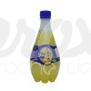 ORANGINA 50CL