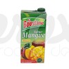NECTAR MANGUE 1L