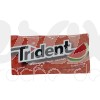 CHEWING-GUMS WATERMELON SANS SUCRE *5