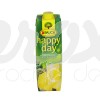 HAPPY DAY 100% ANANAS 1L