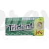 CHEWING-GUMS SPEARMINT SANS SUCRE  14.5G