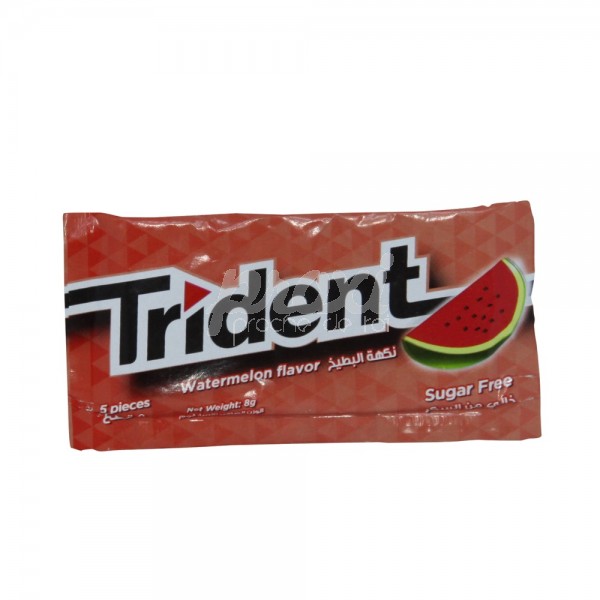  CHEWING-GUMS WATERMELON SANS SUCRE *5