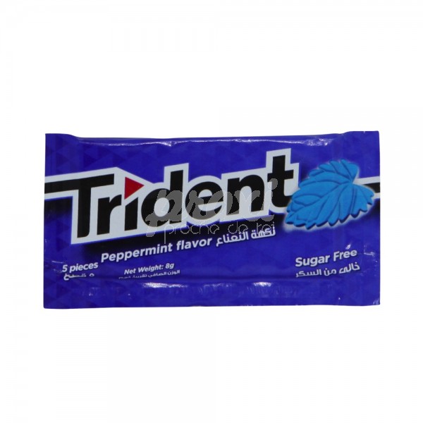 CHEWING-GUMS PEPPERMINT SANS SUCRE*5