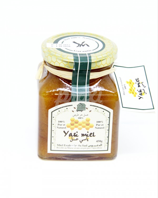 MIEL EUPHORBE 450 G