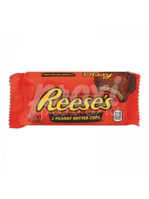 MILK CHOCOLAT NOISETTE 42 G