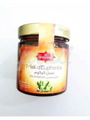 MIEL EUPHORBE 480 G VERRE