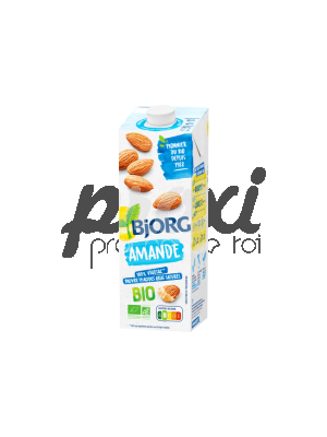BJORG LAIT AMANDE BIO 1 L