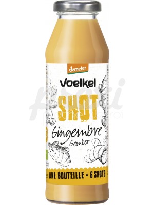 VOELKEL GINGER SHOT 28 CL