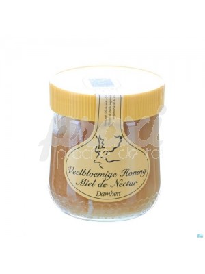 DAMHERT MIEL DE NECTAR 500G