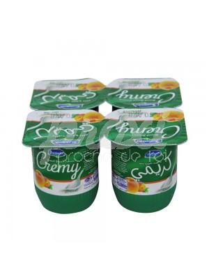 CREMY ABRICOT 110 G