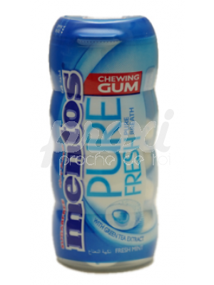 MENTOS CHEWING-GUMS PURE FRESH MINT *12 24G