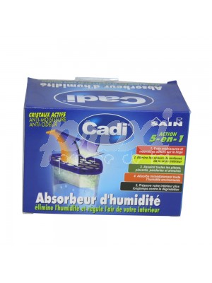 ABSORBEUR D'HUMIDITÉ CRISTAUX 500 G