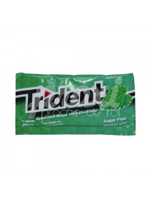 CHEWING-GUMS MENTHE SANS SUCRE *5
