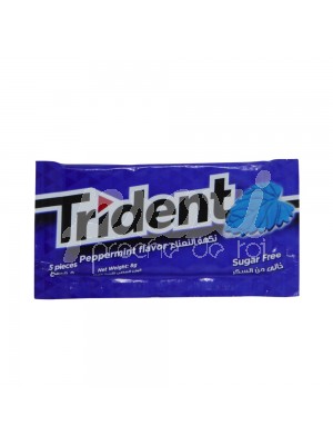 CHEWING-GUMS PEPPERMINT SANS SUCRE*5