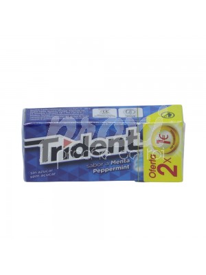 CHEWING-GUMS PEPPERMINT SANS SUCRE  14.5G