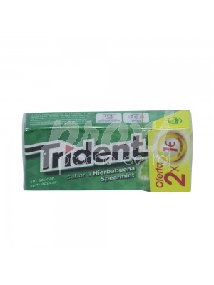CHEWING-GUMS SPEARMINT SANS SUCRE  14.5G