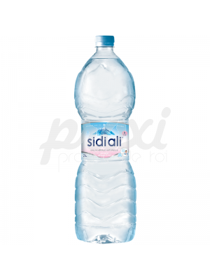 SIDI ALI 2 L