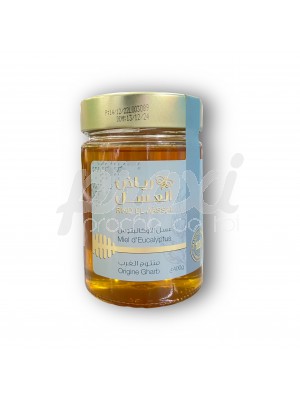 RIAD EL AASSAL MIEL D'EUCALYPTUS 400G
