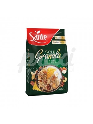 SANTE GRANOLA  GOLD MIEL ET NOIX 300 G