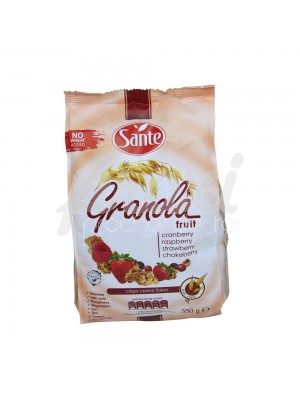 SANTE GRANOLA MUESLI FRUIT 350G