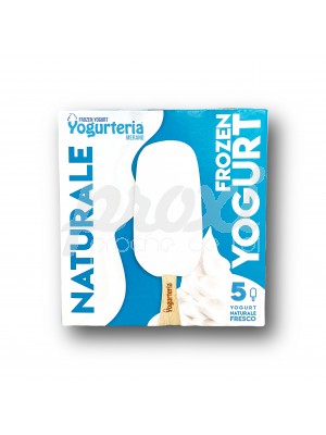 YOGURTERIA 5 GLACE NATURE 